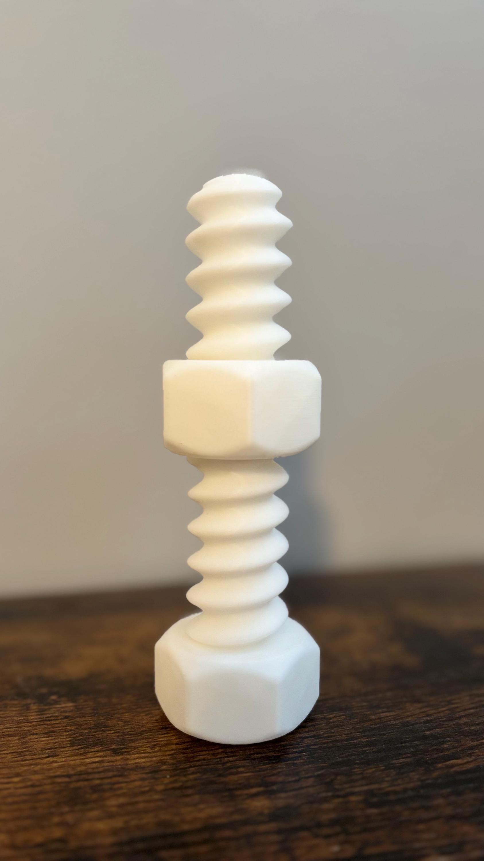 Screw and Bolt fidget toy