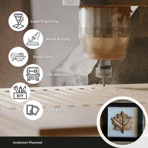 1/8" (3mm) Baltic Birch Plywood – B/BB Grade (Varying Lengths, Widths and Package Quantities) image 3