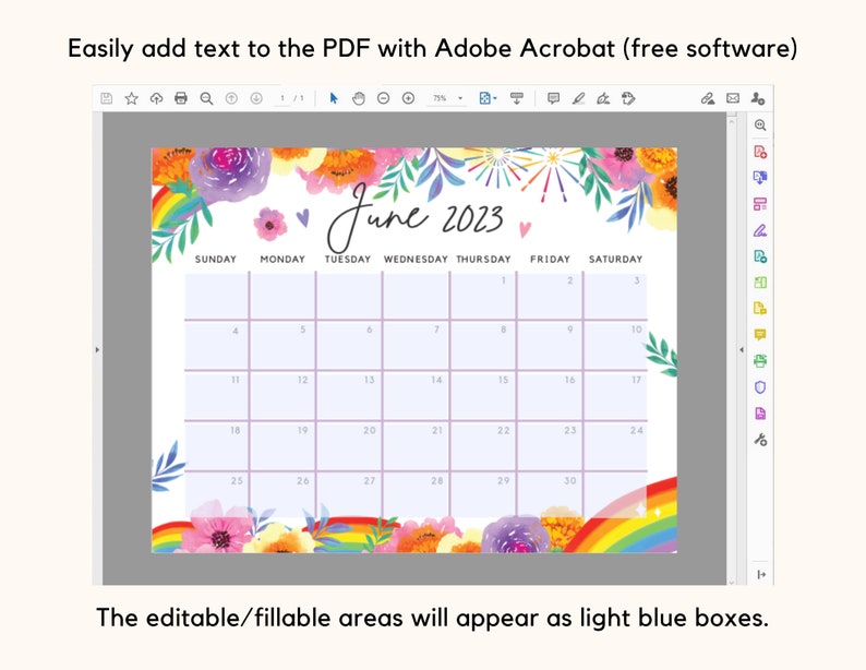 Fillable June 2023 Calendar Rainbow Summer Floral Printable - Etsy