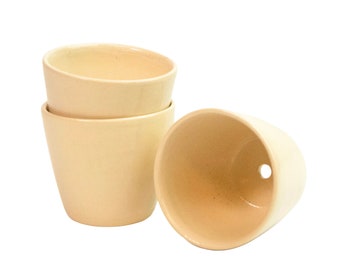 Petite jardinière pour succulentes avec un seul trou de drainage, jardinière de multiplication