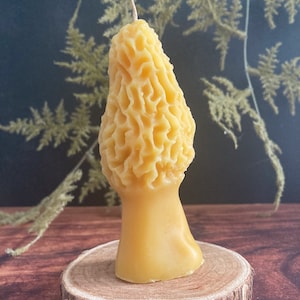 Morel mushroom Beeswax Candle