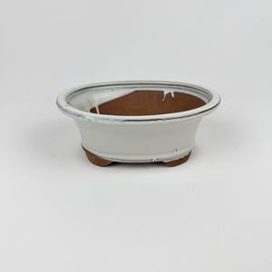 May include: A small, oval-shaped bonsai pot with a white glazed exterior and a brown interior. The pot has a slightly flared rim with a blue accent and sits on three small feet. The overall design is simple and elegant.