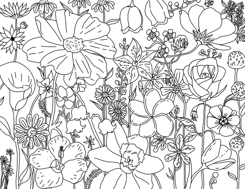 Mixed Flowers Coloring Page - Etsy
