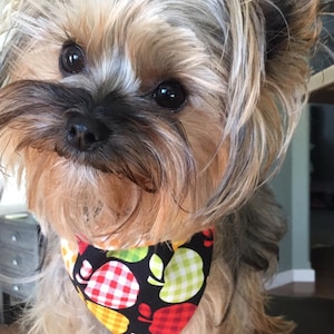 Apple harvest dog bandana  / pet bandana  / Fall bandana  / Cat bandana/ Puppy bandana / Pet scarf / Custom available