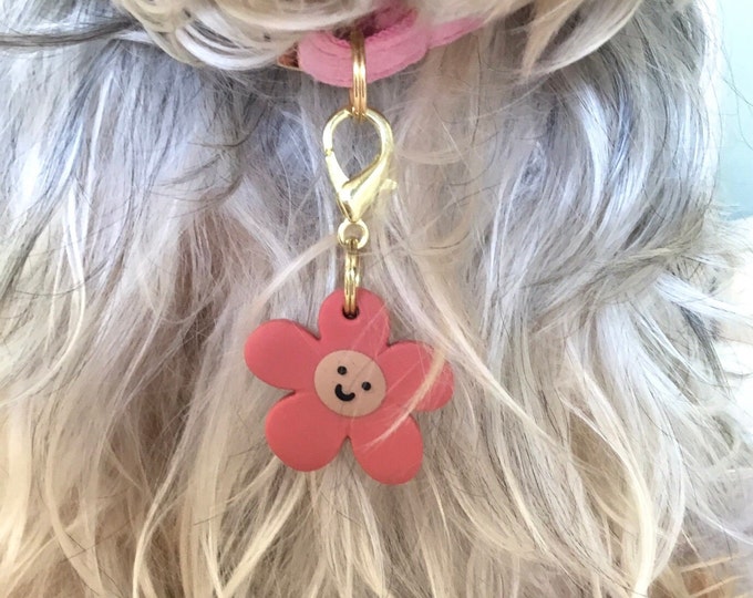 Pet collar charm