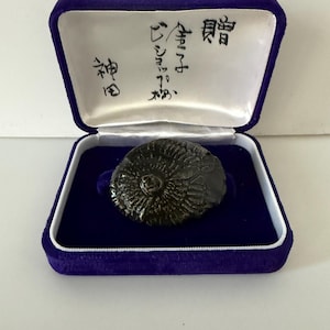 May include: An open, purple velvet jewelry box with a white interior and a dark blue base. Inside, a dark, textured, round object rests. Japanese characters are written on the inside of the box.