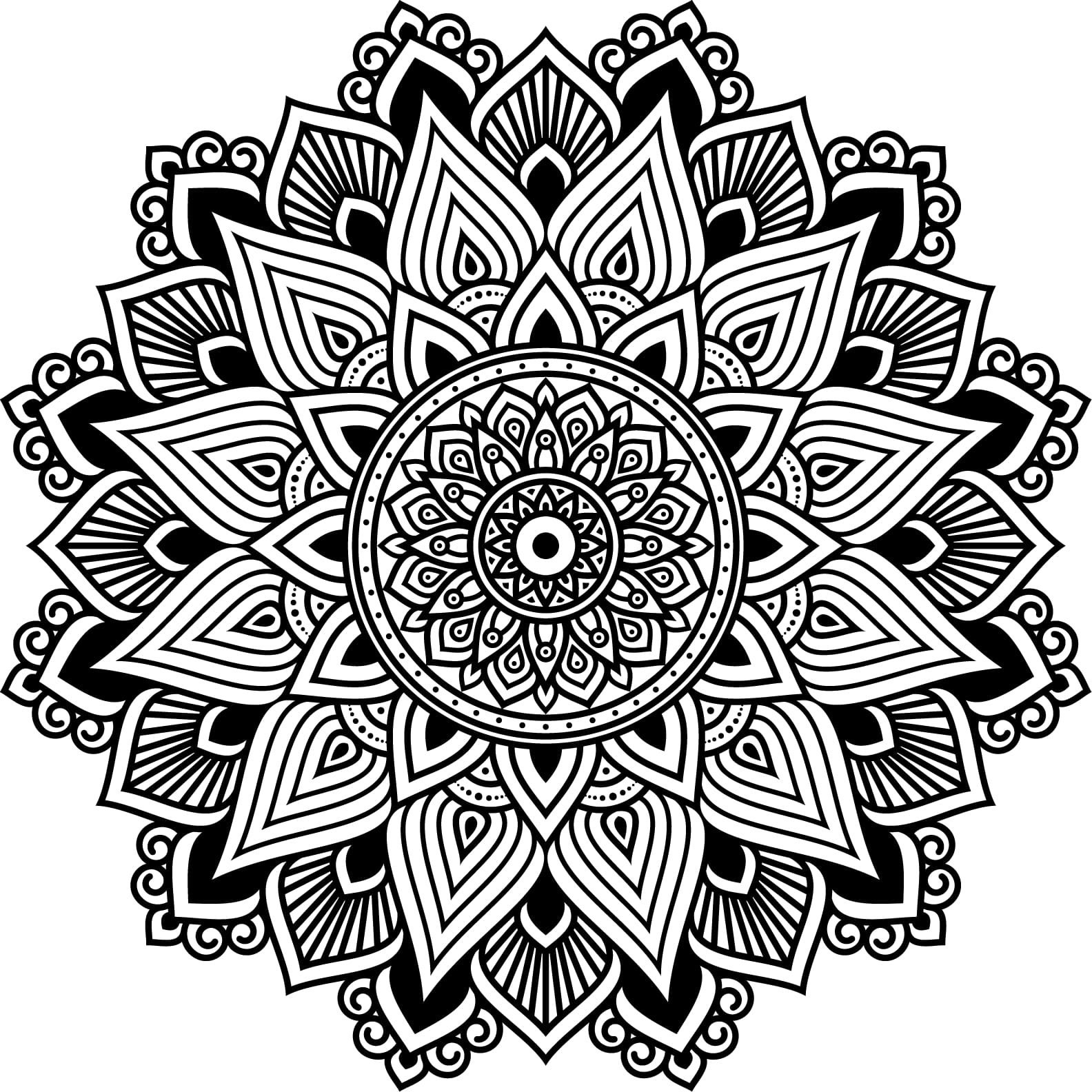 Printable Mandala Adult Coloring Pages Floral Mandala Easy | Etsy