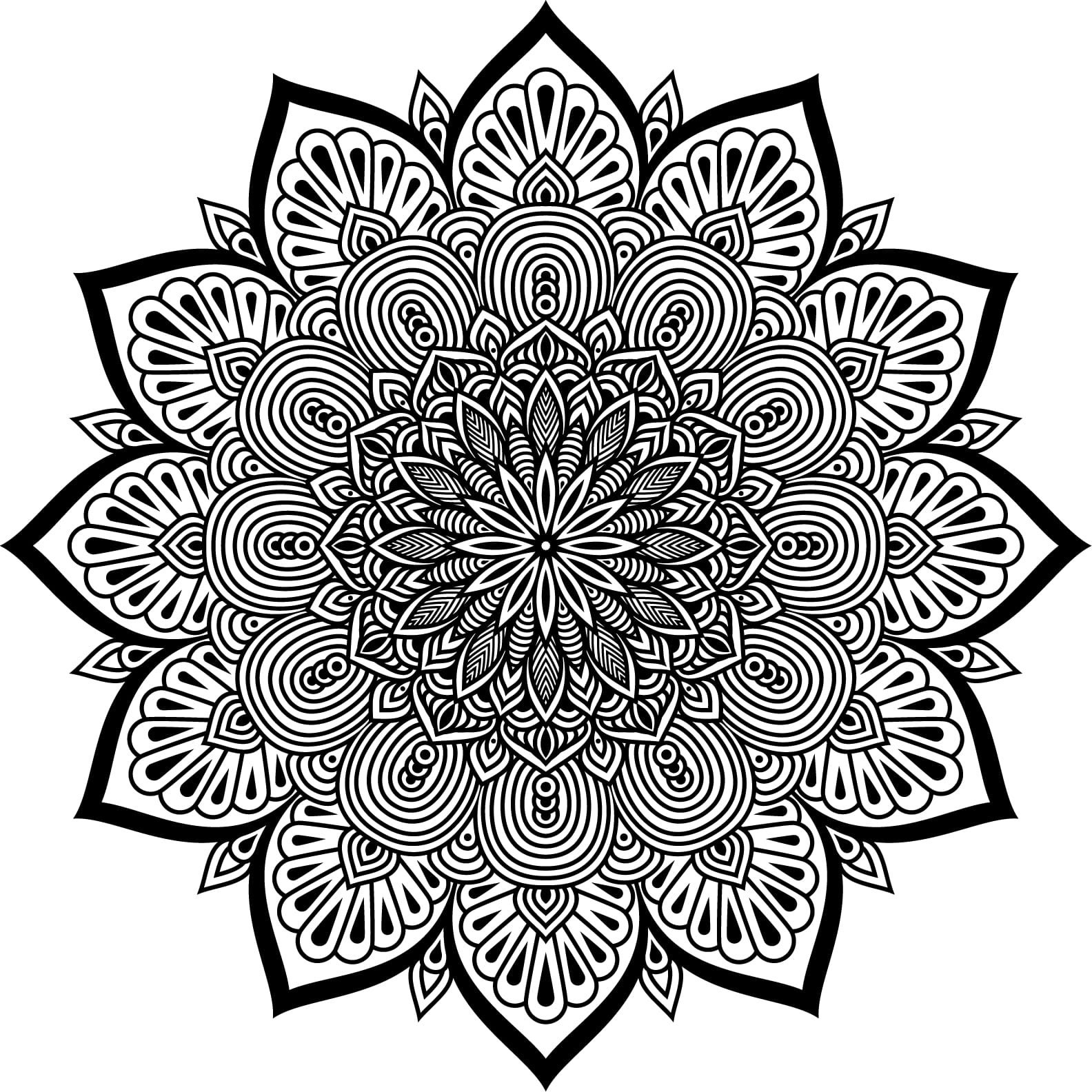Printable Mandala Adult Coloring Pages Floral Mandala Easy | Etsy