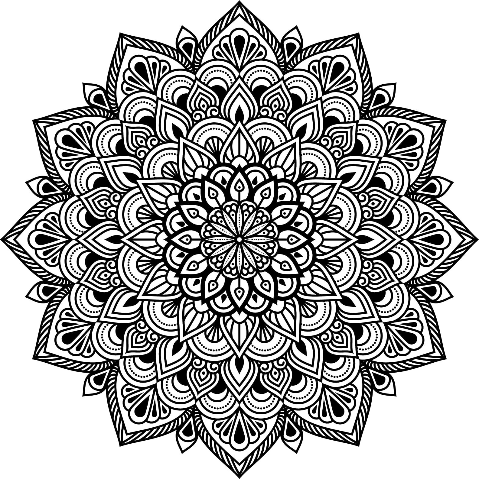 Printable Mandala Adult Coloring Pages Floral Mandala Easy | Etsy