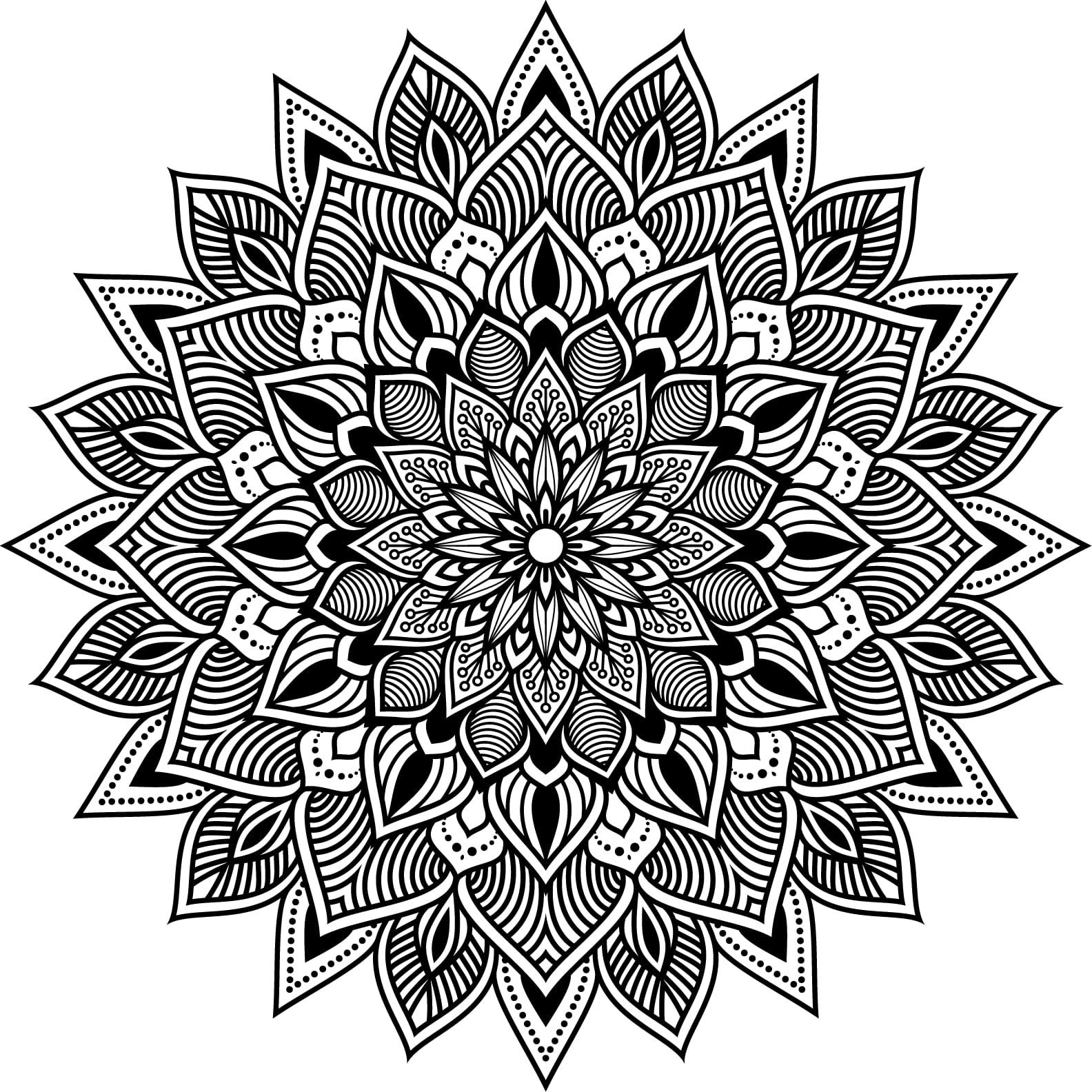 Printable Mandala Adult Coloring Pages Floral Mandala Easy | Etsy