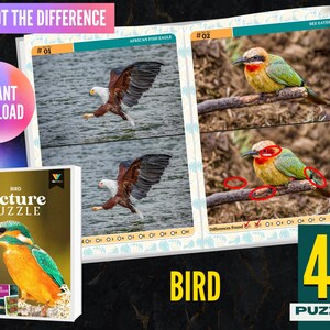 May include: A set of 40 bird-themed spot the difference puzzles. The puzzles feature images of an African Fish Eagle and a Bee Eater. The puzzles are designed for instant download.