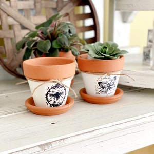 May include: Two small terracotta pots with white painted bases and decorative black insect and butterfly designs. Each pot has a matching saucer and is adorned with twine. One pot holds a succulent, the other is empty.