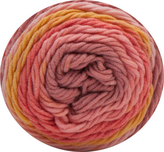 Caron Katoenen Taarten - 100g - Boho Bloemen