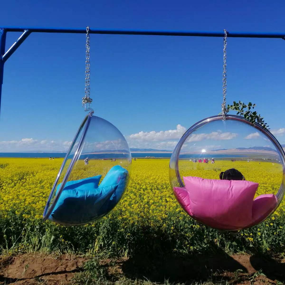 Chaise à bulles Hanging Bubble Chair Etsy