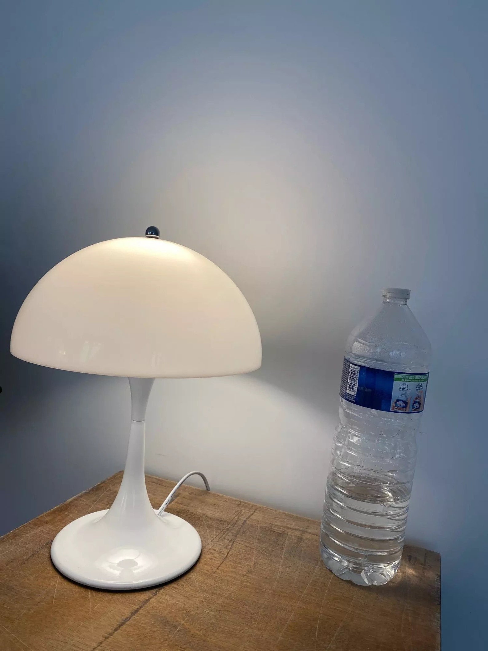 Aesthetic Mushroom Table Lamp / Bedside Lamp / Modern / Etsy