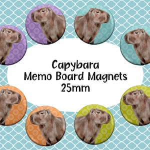 Capybara Memo Board  Fridge Magnets 25mm (Pack of 8), Memo Board Magnets, Fridge Magnets