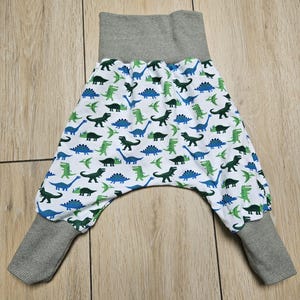 bloomers my dino world