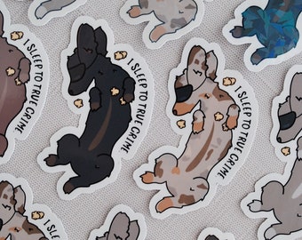 Cute Dachshund Sticker, True Crime Sticker, I Sleep To True Crime Sticker, Holographic Waterproof Vinyl Sticker, Gift For Dachshund Lovers