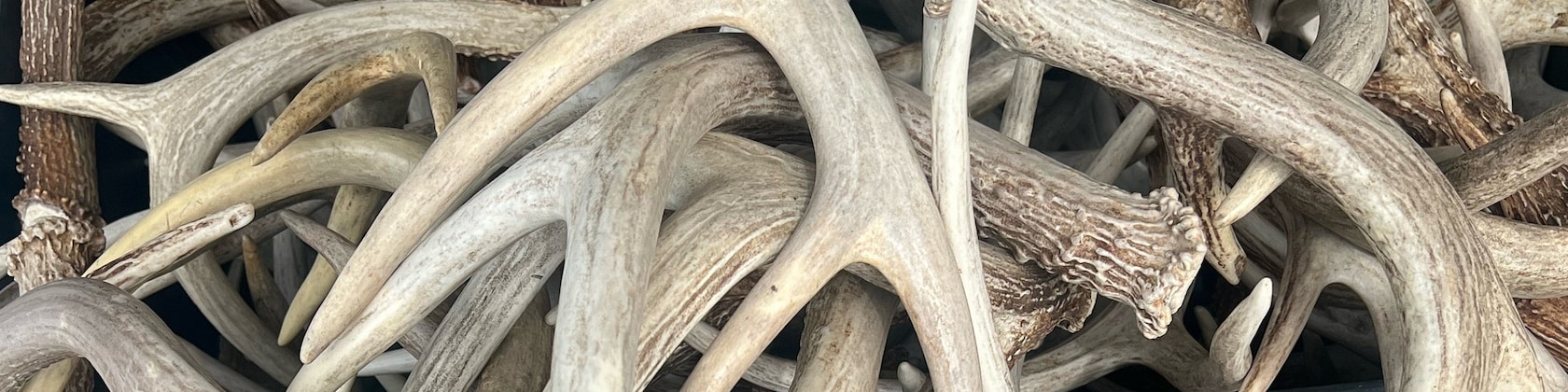 DalleyOutdoorProduct - Etsy