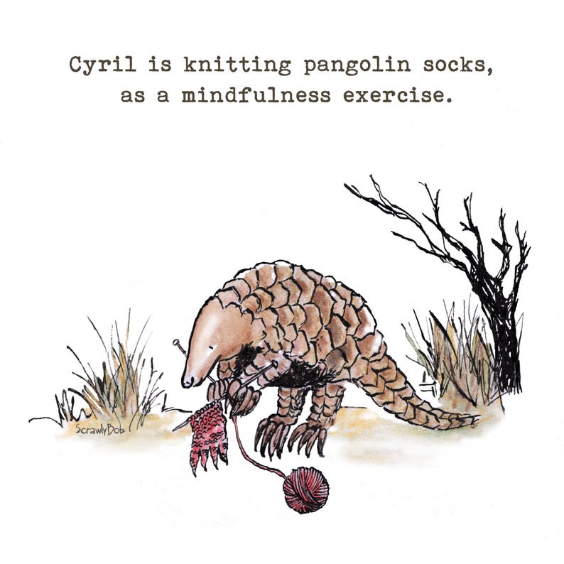 May include: A whimsical ink and watercolor illustration of a brown pangolin knitting a red sock with needles and yarn. The text above reads: Cyril is knitting pangolin socks, as a mindfulness exercise. The artist signature ScrawlyBob is visible.