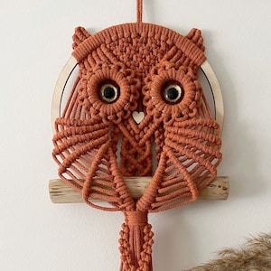 Macrame owl wall hanging for baby room, Scandinavian home decoration, over the bed decor, housewarming gift for her, pretty fibre tapestry