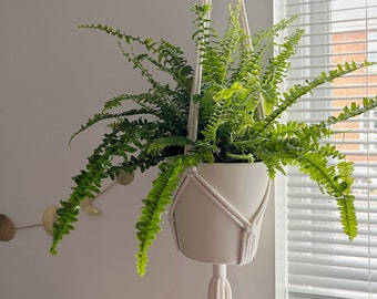 Decorative hanging planter for living room, boho inspired pot holder, urban house jungle accessories, original gift for houseplants lover