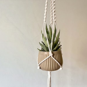 Rope plant hanger for houseplants lover, macrame pot holder for minimalist interior decor, hanging flower display, unique housewarming gift