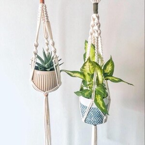 May include: Two macrame plant hangers with white cord and wooden rings. One hanger has a small succulent plant in a beige pot, the other has a larger plant with green leaves in a blue and white patterned pot.