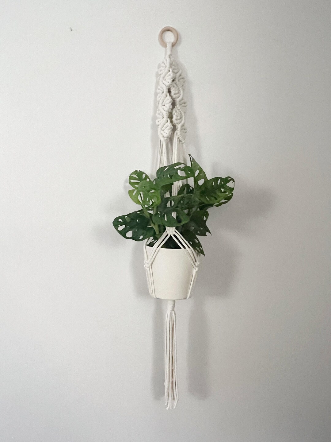 Boho Plant Hanger for Botany Enthusiast, Unique Living Room Decor
