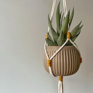 Könnte beinhalten: Ein brauner Keramiktopf mit gerippter Textur hängt an einem weißen Makramee-Pflanzenhänger mit gelben Akzenten. Eine grüne Sukkulente wächst im Topf.