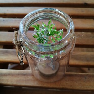 Good luck charm in a glass jar with a moon cat charm image 4