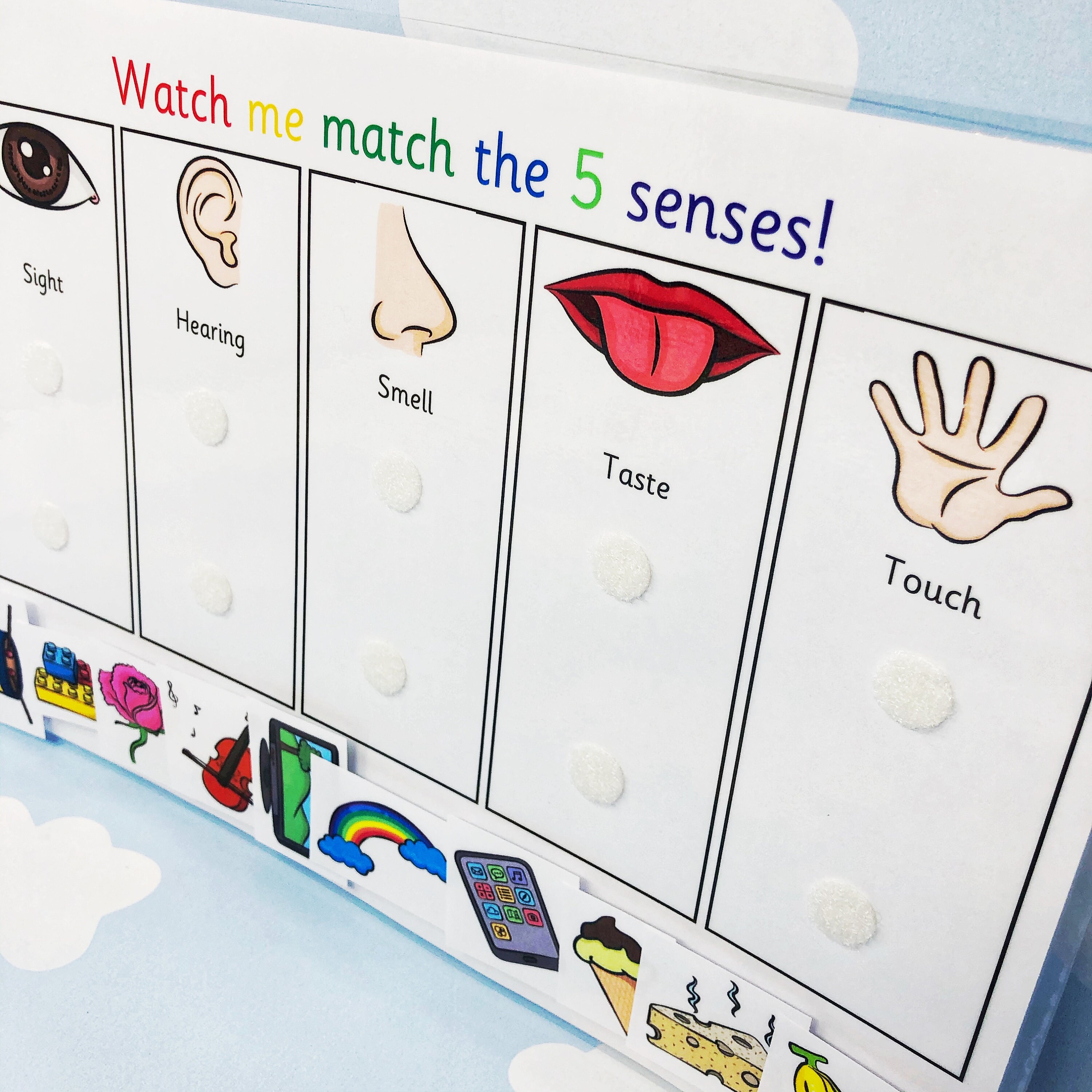 5 Senses - Learning Sheet - Matching Game - Science - Nature - Teaching ...