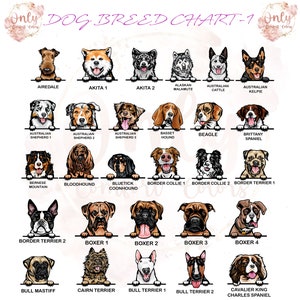 May include: A chart featuring illustrations of different dog breeds, including Airedale, Akita, Alaskan Malamute, Australian Cattle Dog, Australian Kelpie, Australian Shepherd, Basset Hound, Beagle, Brittany Spaniel, Bernese Mountain Dog, Bloodhound, Bluetick Coonhound, Border Collie, Border Terrier, Boxer, Bull Mastiff, Cairn Terrier, Bull Terrier, and Cavalier King Charles Spaniel.