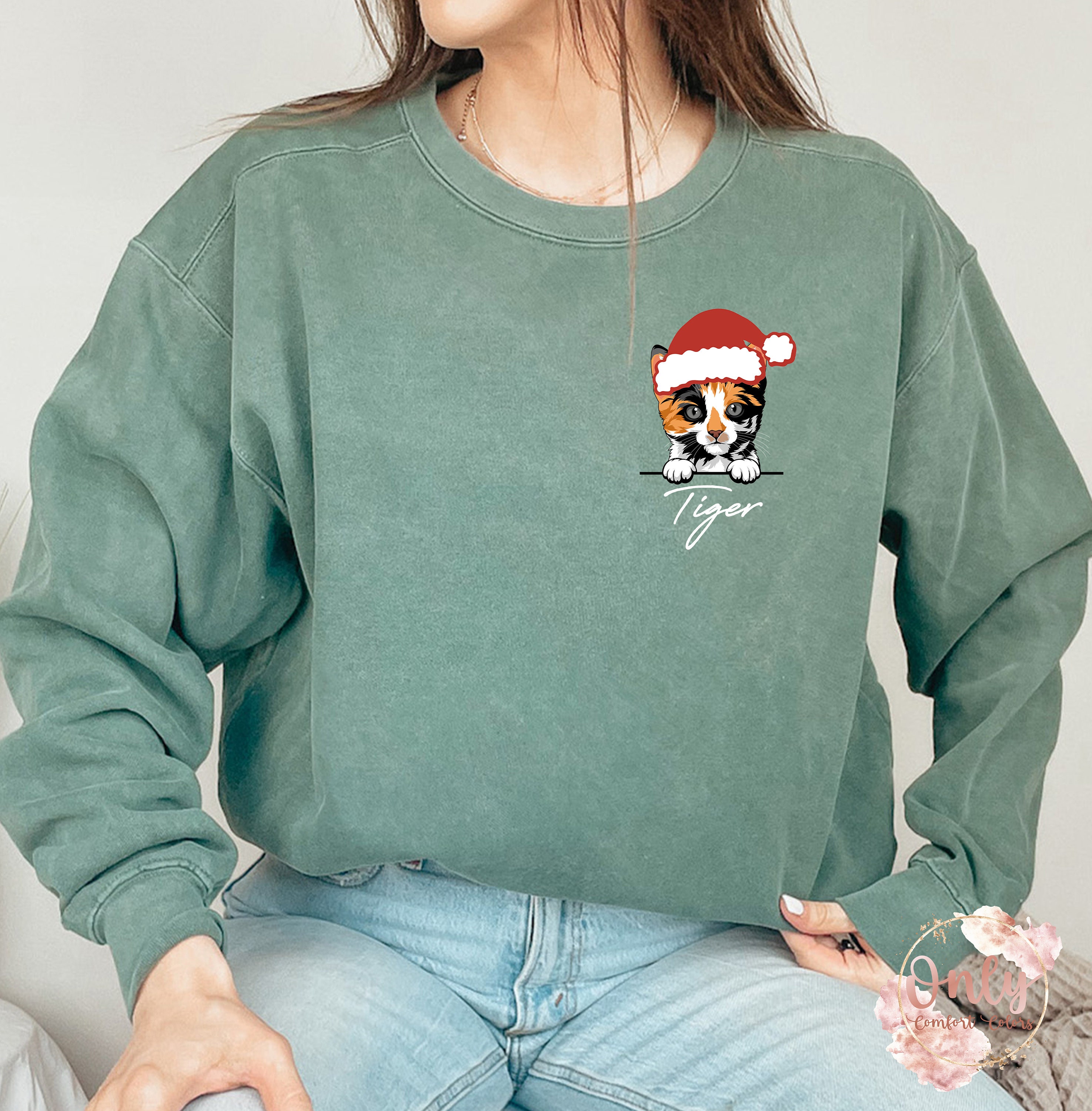 Custom Cat Santa Hat Sweatshirt, Christmas Cat Sweater, Comfort