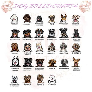 May include: A chart featuring illustrations of 24 different dog breeds. Each breed is labelled with its name. The chart is a helpful guide for identifying different dog breeds.