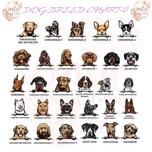 May include: A chart featuring illustrations of 20 different dog breeds, each with its name listed below. The chart is titled "DOG BREED CHART-2".