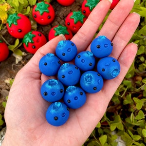 Mystic Blueberries!