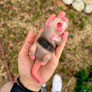 May include: A small, detailed opossum figurine in shades of gray, pink, and black. The opossum is lying on its back with its mouth open and tongue sticking out. The figurine has a striped band across its back and a pink tail.