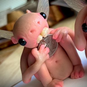 ¡Hadas de los Dientes! (¡Agotadas!)