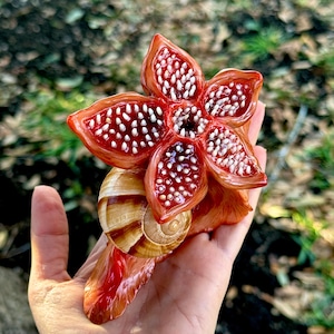 Demogorgon snail (Pre-order!)