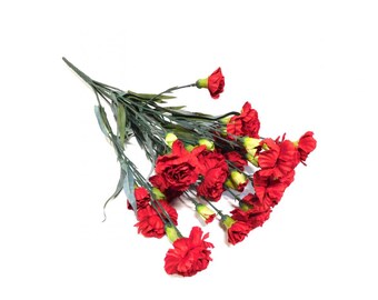 Nelken Blumenstrauss Etsy