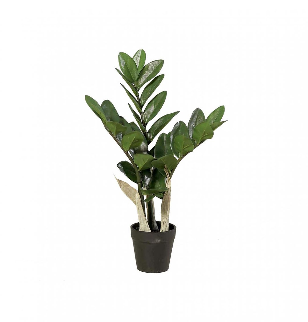 Zamioculcas Zamiifolia Zamio 43 Cm Artificial Plant Decorative Etsy