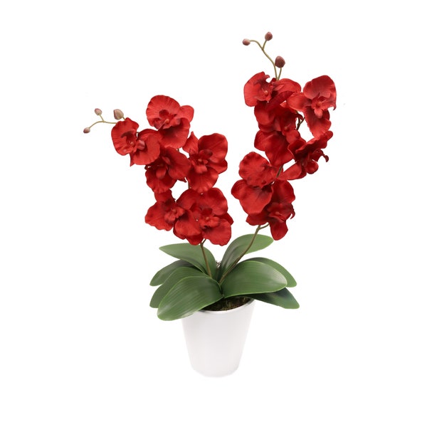 Orchidée 2 panicules branche d'orchidée Phalaenopsis plante artificielle fleur artificielle faux pot en céramique 60 cm rouge 1017101-01 en pot