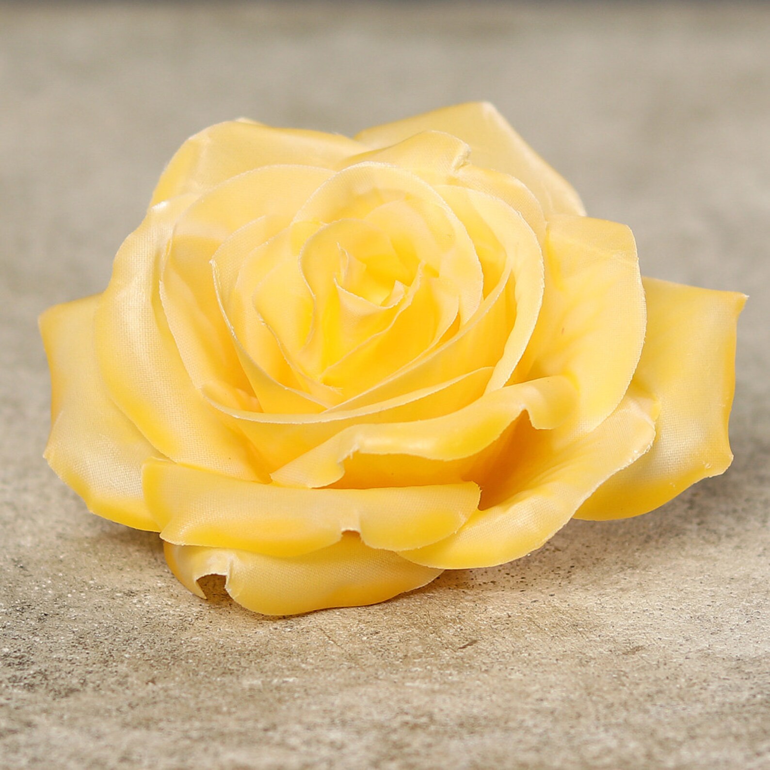 Passion MaDe Wachsrose Wachs Rose Blüte Wachsblüte Infinity | Etsy