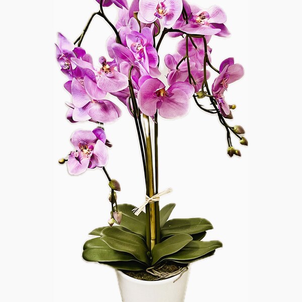 XL Orchidee Phalaenopsis Künstlich im Topf Groß kunstpflanze wie echt 90 cm pink rosa 2818253