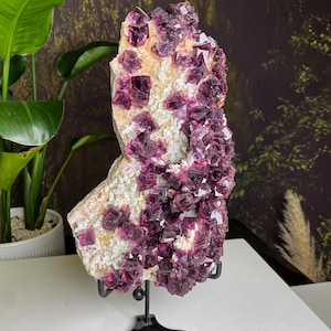 Unique Purple Red Octahedral Fluorite Cubes On Quartz Cluster, Minerals Specimen, Calm And Communication, Home Decor, Mineral Specimen