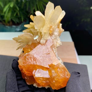Scheelite naturelle avec mica sur quartz, magnifiques spécimens minéraux, collections de spécimens de pierres précieuses naturelles, cristal curatif, décoration d&#39;intérieur