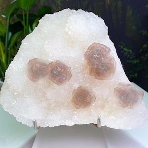 Amazing And Unique ZheJiang Phantom Fluorite, Purple Green In Fluorite Cube On Clear Quartz Cluster, Rare Fluorite Crystal Cluster, Healing