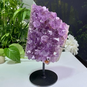 Geoda de amatista drusa con grupo de cuarzo rutilado (220 x 110 mm)