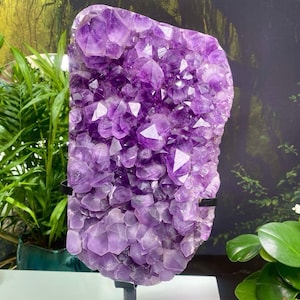Sugar Amethyst With Rutilated Cluster, Amethyst Geode Crystal, Purple Crown Chakra, Protective Crystal, Home Decor